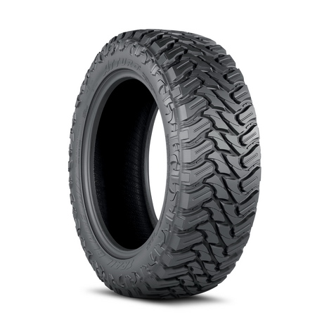 255/55R19
